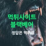 블랙베어 먹튀사이트