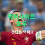 호우 먹튀사이트