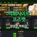 코즈벳먹튀