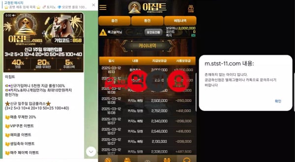 이집트피해자료