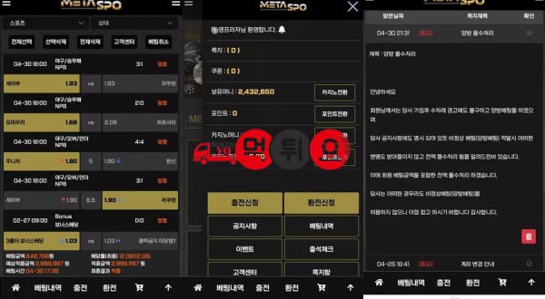 메타스포자료2